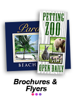 Flyers and Brochures